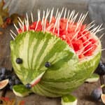 西瓜皮創(chuàng)意動物造型刺猬DIY